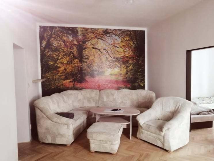 U Trojice Apartment Cervena Voda